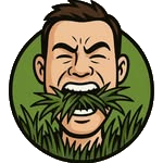 was-essen-veganer.info